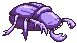 Sleepy Beetle